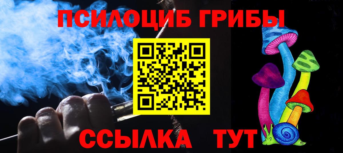 Псилоцибиновые грибы Psilocybine cubensis  Вход с VPN  Уссурийск 